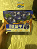 三只松鼠每日蓝莓干256g/16包 无添加水果干果脯小包装儿童老人办公室零食 实拍图