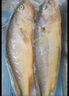 海名威 冷冻黄花鱼700g/2条 宁德大黄鱼地标 海鲜水产 生鲜鱼类 海鱼 实拍图