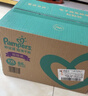 帮宝适（Pampers）绿帮 清新帮 拉拉裤 婴儿尿不湿成长裤 绿帮XL136片 实拍图