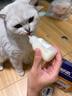 宠莱克(MEOWANLIKE)幼猫用羊奶粉 怀孕母咪宠物乳铁蛋白0-3月低脂山羊奶 实拍图