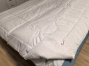京东京造100%天然新疆棉花被 纯棉被芯双人被子 秋冬被6斤2x2.3m 实拍图