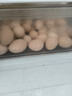 九華粮品散养土鸡蛋40枚 净重3斤 农家柴鸡蛋 笨鸡蛋 月子蛋 实拍图