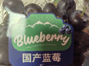 云南高山大蓝莓125g 18mm 实拍图