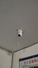 普联（TP-LINK）摄像头家用监控器 室内高清无线智能网络摄像机 360°度全景旋转云台手机APP远程查看双向语音对讲 【单镜头丨单画面】300万高清版 16GB内存卡【免费升级32GB卡】 4mm 实拍图
