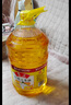 鲁花 食用油  物理压榨  非转基因 玉米油6.18L   实拍图