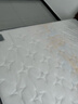 喜临门乳胶椰棕床垫抗菌防螨独袋弹簧床垫 梦蝶旗舰版1.8x2米 软硬适中 实拍图