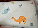 水星儿童（MERCURY Kids）幼儿园全棉抗菌对枕套(湖水绿/远古龙)30cm×50cm 婴幼儿A类 实拍图