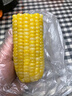三胖蛋黄甜糯玉米4.1斤礼盒(9穗) 真空包装玉米棒速食早餐 年货节送礼 实拍图