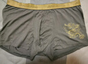 健将内裤男竹纤维透气男士平角内裤2条装霸气金龙印花金腰边四角裤头 2条 金龙刺绣-4色随机 2XL (175/95) 实拍图
