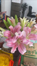 香水百合鲜花云南鲜花直发家用水养插花母亲节情人节礼物新年装饰 随机香水百合混色18朵 优质百合 实拍图