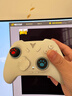 飞智冰原狼4多模版无线游戏手柄 类xbox 力调节摇杆双切扳机 switch电脑PC手机steam体感NS 丝之歌 实拍图