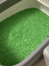 浦力斯奥 豆腐猫砂绿茶小颗粒猫砂真空植物猫砂结团猫砂5斤 实拍图