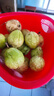 黄金百香果钦蜜9号新鲜当季现摘精选好果水果百香果鲜果酸甜可口 钦蜜9号黄金百香果 >60g大果 2斤 实拍图