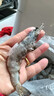 东上御品虾 青岛大虾基围虾鲜活青虾白虾海虾对虾冰虾冻虾生鲜 虾类 海鲜 3斤(净重)  气冻大虾【活虾速冻】 15-18cm【单只超大虾】 实拍图