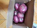 山东特产水果扁洋葱甜瓜口感红皮扁葱头生吃脆甜蘸酱好吃粉嫩 紫皮洋葱大果带箱 5斤 精选 实拍图