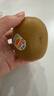 佳沛（zespri）新西兰阳光金奇异果 8个装 特大果单果重约122-146g 水果猕猴桃 实拍图