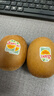 佳沛（zespri）新西兰 阳光金奇异果12粒礼盒特大果单果约122-146g 猕猴桃 水果 实拍图