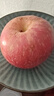 甜醉了 烟台苹果栖霞红富士新鲜水果生鲜山东特产脆甜整箱平果礼盒礼品 红富士净重4.5斤75-80mm 实拍图