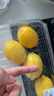 京鲜生 安岳黄柠檬 8粒 单果95-120g 生鲜水果 实拍图