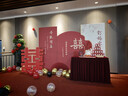 莱邦宸 订婚布置全套 2025新款订婚场景布置全套背景板布置套装装饰 定制款/桃之夭夭豪华 实拍图
