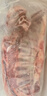 鲜京采内蒙古羔羊整排 净重3斤 生鲜速冻羊肉 羊排烧烤清炖食材 实拍图