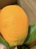 正宗赣南脐橙新鲜现摘 赣南脐橙【10斤】 【单果95mm】果王【推荐购买】 实拍图