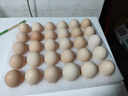 京鲜生【每日鲜蛋】无抗谷物鸡蛋30枚3.78斤 当日产蛋 当日发货 实拍图