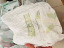 babycare艺术大师拉拉裤XXXL码24片(大于17kg) 婴儿尿不湿瞬吸干爽透气 实拍图