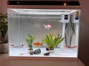 森森 超白玻璃智能桌面鱼缸一体缸自循环HE-480 实拍图