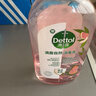 滴露（Dettol）香氛自然衣物消毒液杀菌48H留香洗衣除汗臭儿童玩具消毒水1L*4 实拍图