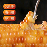 傣萨金谷西双版纳香糯小玉米花糯玉米即食云南玉米低脂杂粮真空轻食减餐 A级-香糯小玉米5斤 实拍图