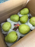 京觅福建芭乐 白心芭乐 土番石榴单果150g 4.5斤装 实拍图