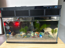 米家（MIJIA）小米米家智能生态鱼缸还原自然生态补仓一次三月无忧出差旅行必备 实拍图