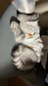 华元宠具（hoopet）猫咪绝育服宠物母猫小狗狗幼猫手术服透气断奶服公猫防舔术后衣服 实拍图