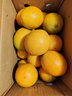 江西赣南脐橙 橙子纽荷尔甜橙水果甜橙子现摘当季正箱新鲜水果 4.5斤装 净重 （单果130g起） 实拍图