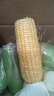 云南高原新鲜水果玉米起脆甜爆浆可生吃现采现发300g/棒营养早餐 水果玉米9斤 净重 实拍图
