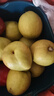京鲜生 新疆库尔勒香梨 净重5斤 一级 单果100g-120g  生鲜水果 实拍图