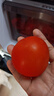 新鲜沙瓤大番茄生吃西红柿减肥早餐即食新鲜蔬菜生鲜单果＞100g 囤货装 5斤 净重 实拍图