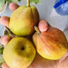 京鲜生 新疆库尔勒香梨 净重4.5斤 单果140g以上 生鲜水果 礼盒装 实拍图