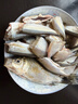 佳钓尼（JIADIAONI）活鱼桶加厚鱼护钓鱼装鱼箱钓鱼桶厚底可折叠钓箱野钓专用 45cm 实拍图