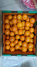 京鲜生 金秋砂糖橘/砂糖桔 5斤 生鲜水果礼盒  实拍图