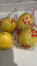 京鲜生 福建琯溪蜜柚3-4粒装 净重8.5斤 生鲜水果 源头直发包邮 实拍图