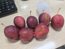 酷奇象 东北鸡心果【顺丰多地次日达-配送上门】小苹果沙果海棠果中秋礼 净重3斤精选大果【10-12枚/斤】 甄选装【顺丰快递礼盒-蕞划算】 实拍图