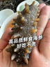 好当家 威海冷冻有机即食海参 400g 6-10只 礼盒装 源头直发 实拍图