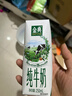 伊利【新鲜日期】金典纯牛奶整箱 250ml*16盒 3.6g乳蛋白 礼盒装 实拍图