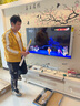 Vidda X Mini 55英寸 海信电视Mini LED 一级能效以旧换新国家补贴游戏液晶电视空调最佳CP 55V1N-X 实拍图