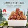 春江月临安山核桃新货手剥小坚果仁炒货送礼孕妇干果杭州特产零食 临安山核桃【500g*1罐】椒盐味新货 实拍图