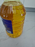 福临门食用油 金阙谣 0反式脂肪酸 本真葵香 葵花仁油6.18L 中粮出品 实拍图