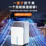 NIYEVN【AI全屋除湿抽水丨碾压空调】除湿机家用抽湿机补贴 除湿器室内卧室地下室干燥机小型吸湿回南天 55L/天 70-120㎡ 全户型10倍冷凝5s除 实拍图