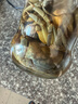 陆龙3A白玉蟹 佐餐佳品 即食醉蟹螃蜞蟹朋友蟹 宁波特产舟山海鲜水产 [冷藏]3A白玉蟹300g*2瓶 实拍图